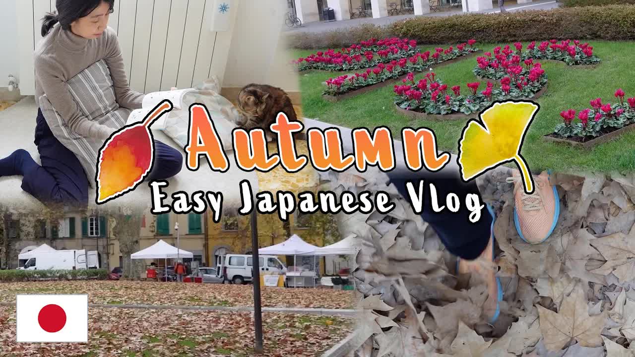 日语 vlog 秋天的落叶地毯：用简单日语聊季节变化、红叶和银杏